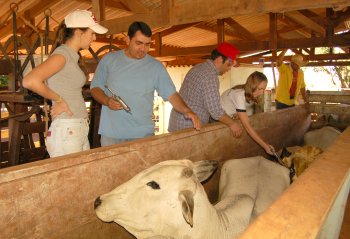 Alunos de Zootecnia em atividade na Fazenda Experimental